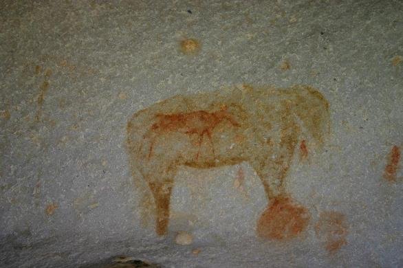 San rock art in the Cederberg