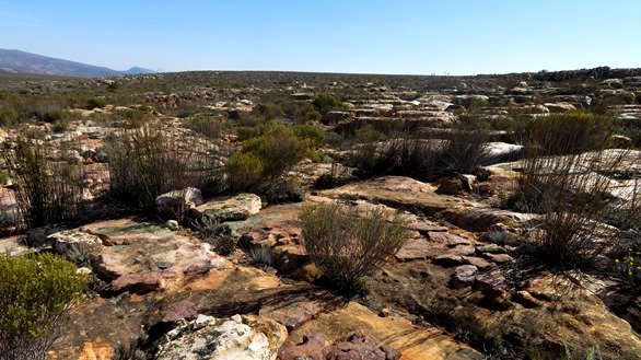 Sandstone sheet matrix