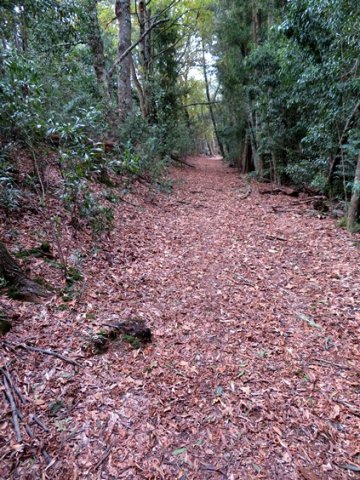 Main road Many Waters  to Spookberg via Rowerskloof