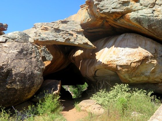 Shelter or early home