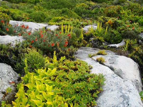 Suitable Place of Worship