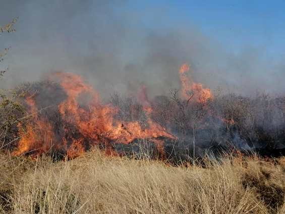 Fire, the caveman's TV or killer