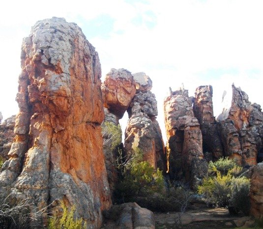 Rocks fashion microclimates