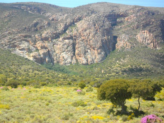Spring vegetation on sloped and flat land