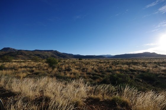 Delicate ecological balance