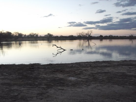 Evening light fading by the watering hole