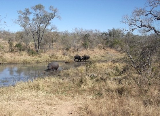 Be mindful of the company you keep!