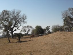 Termite mound on a Lowveld slope