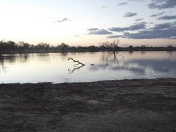 Evening light fading by the watering hole