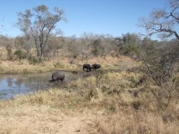 Be mindful of the company you keep!