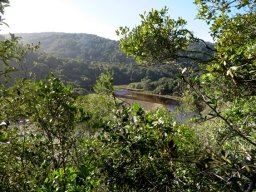 Some rivers are feminine